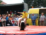 Hry bez venkovských hranic 2005