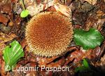 Survival v biologické rezervaci pod Kykulou