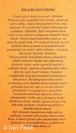 XIII. Valentův hudební podzim 2007